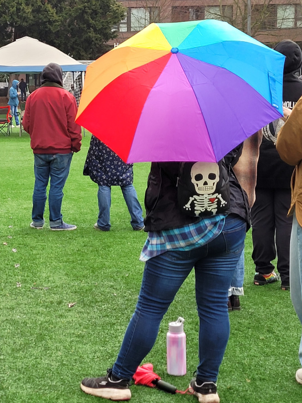 umbrella