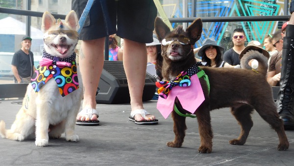 Two Contestants